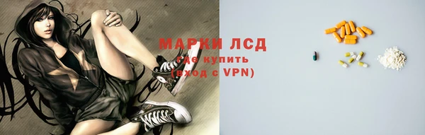 ГАЛЛЮЦИНОГЕННЫЕ ГРИБЫ Аркадак
