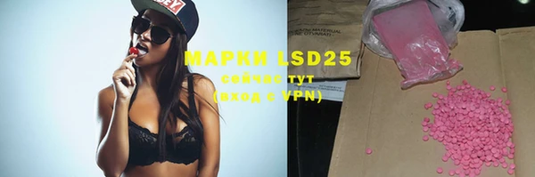 ГАЛЛЮЦИНОГЕННЫЕ ГРИБЫ Аркадак