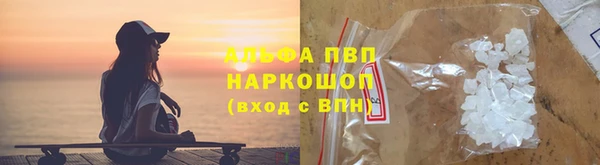 ГАЛЛЮЦИНОГЕННЫЕ ГРИБЫ Аркадак