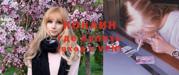 ГАЛЛЮЦИНОГЕННЫЕ ГРИБЫ Аркадак