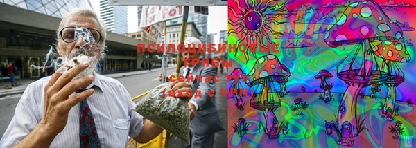 ГАЛЛЮЦИНОГЕННЫЕ ГРИБЫ Аркадак