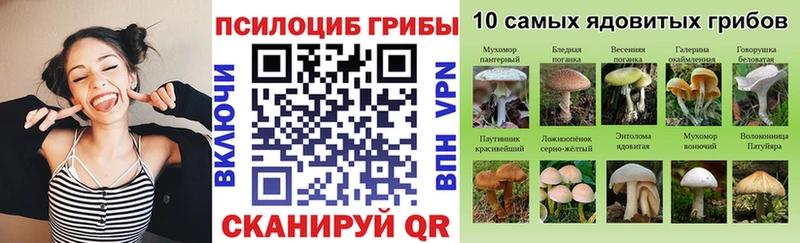Галлюциногенные грибы MAGIC MUSHROOMS  Шатура 